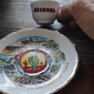 Arizona Souvenir Plate and Cup Set